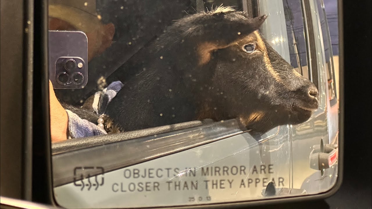 Hope reflected in the side mirror